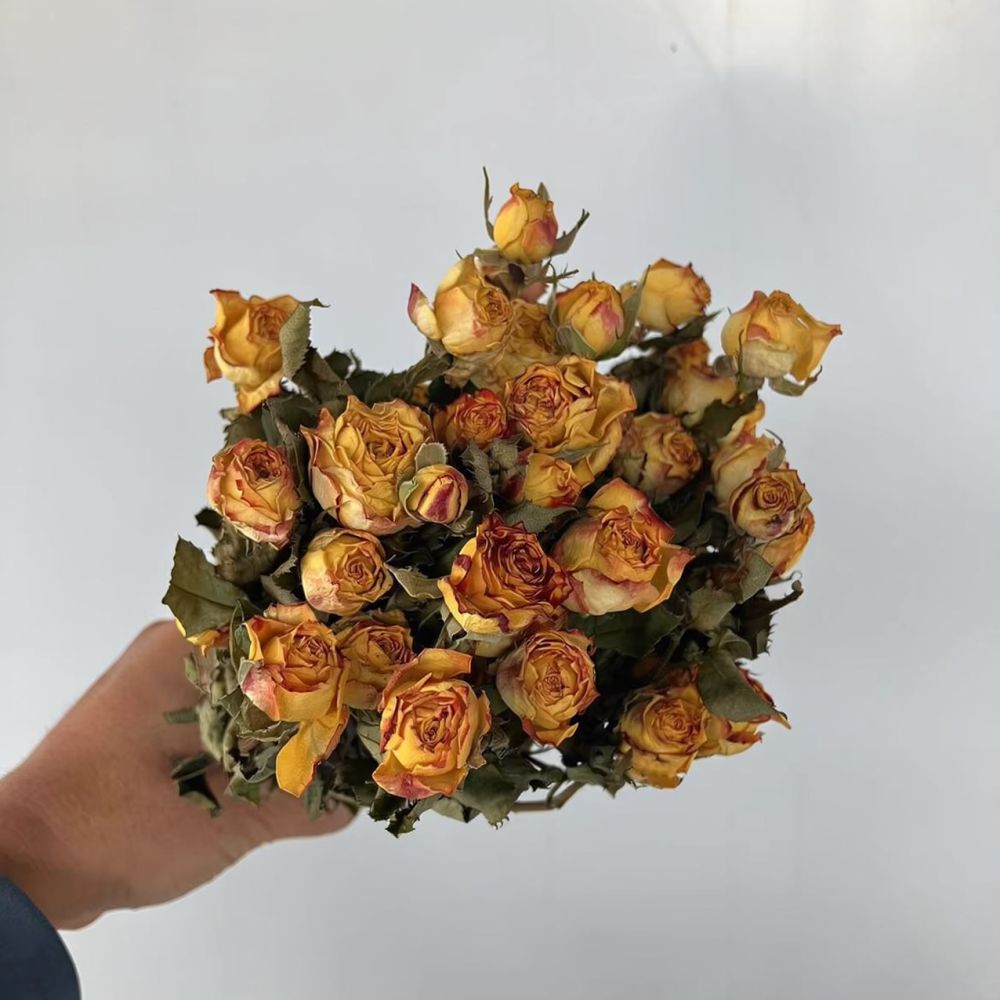 باقة ورود طبيعية مجففة ومحفوظة - مراجعة Resin Art Rose وسعره