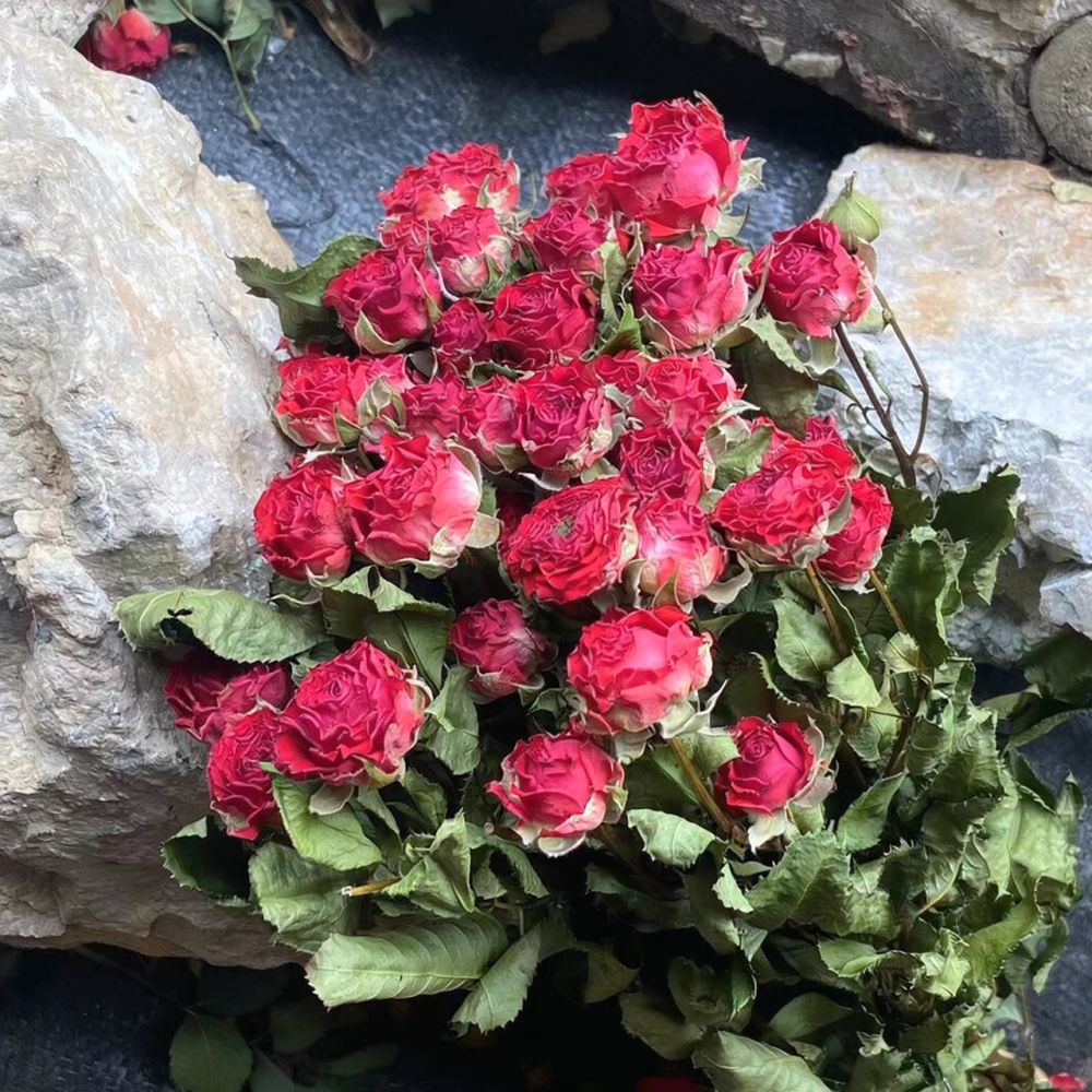 باقة من زهور الورد المجففة الط - مراجعة Resin Art Rose وسعره